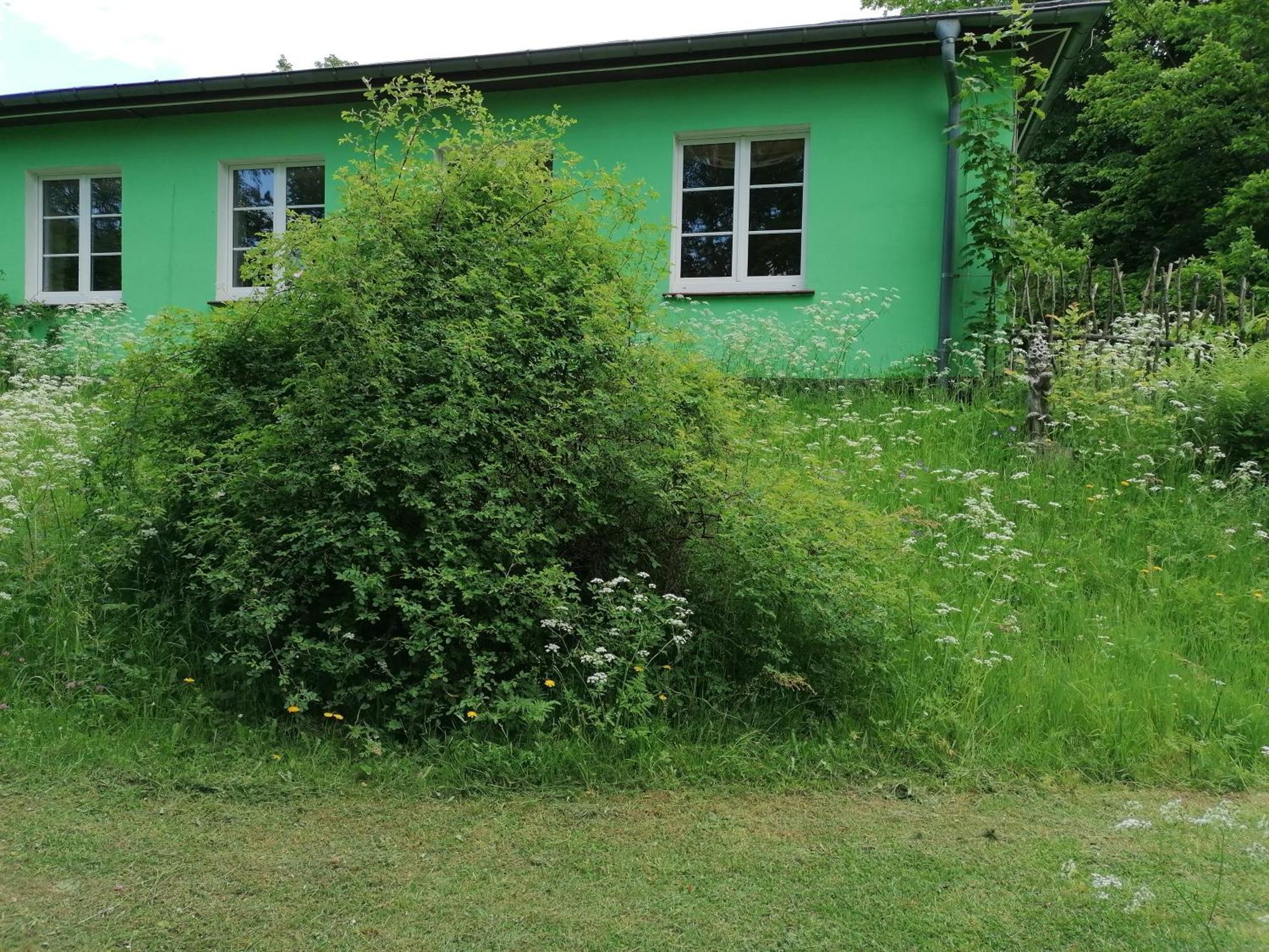 Hotel Kraeuterbaude Saupsdorf Zewnętrze zdjęcie